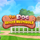 Dog House